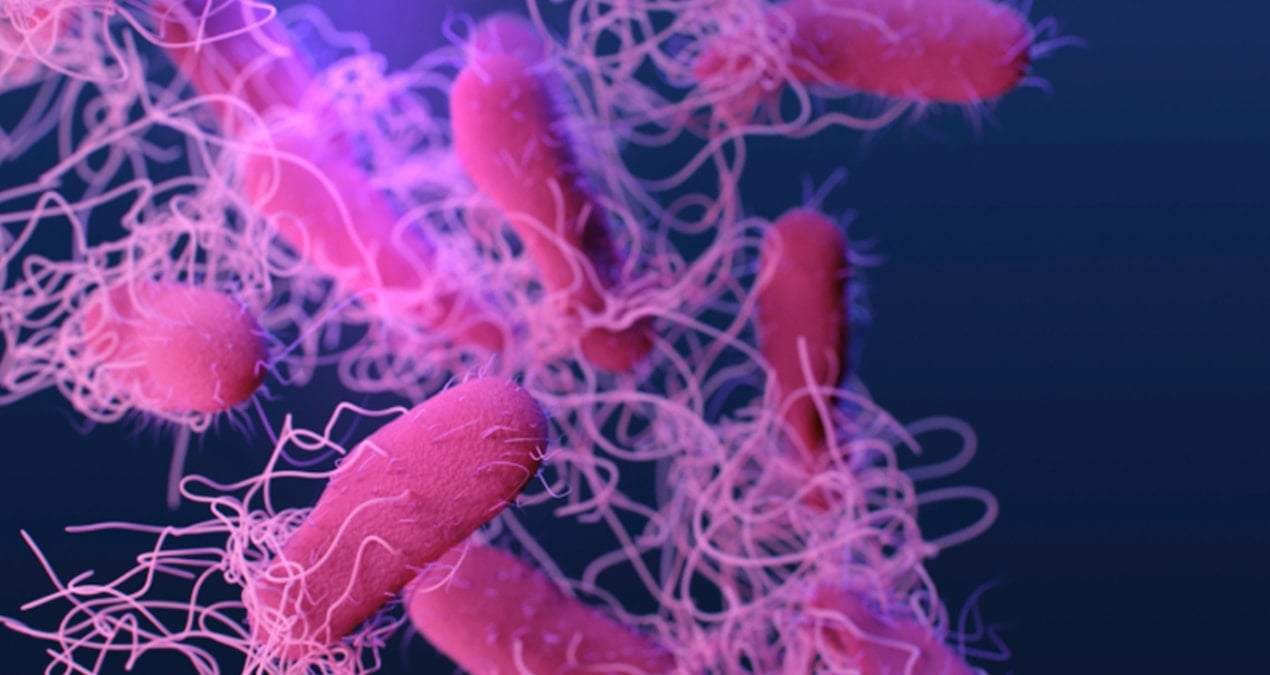 cig ya da iyi pisirilmemis hayvansal gidalardan bulasiyor alarm verildi HbSJGqeP