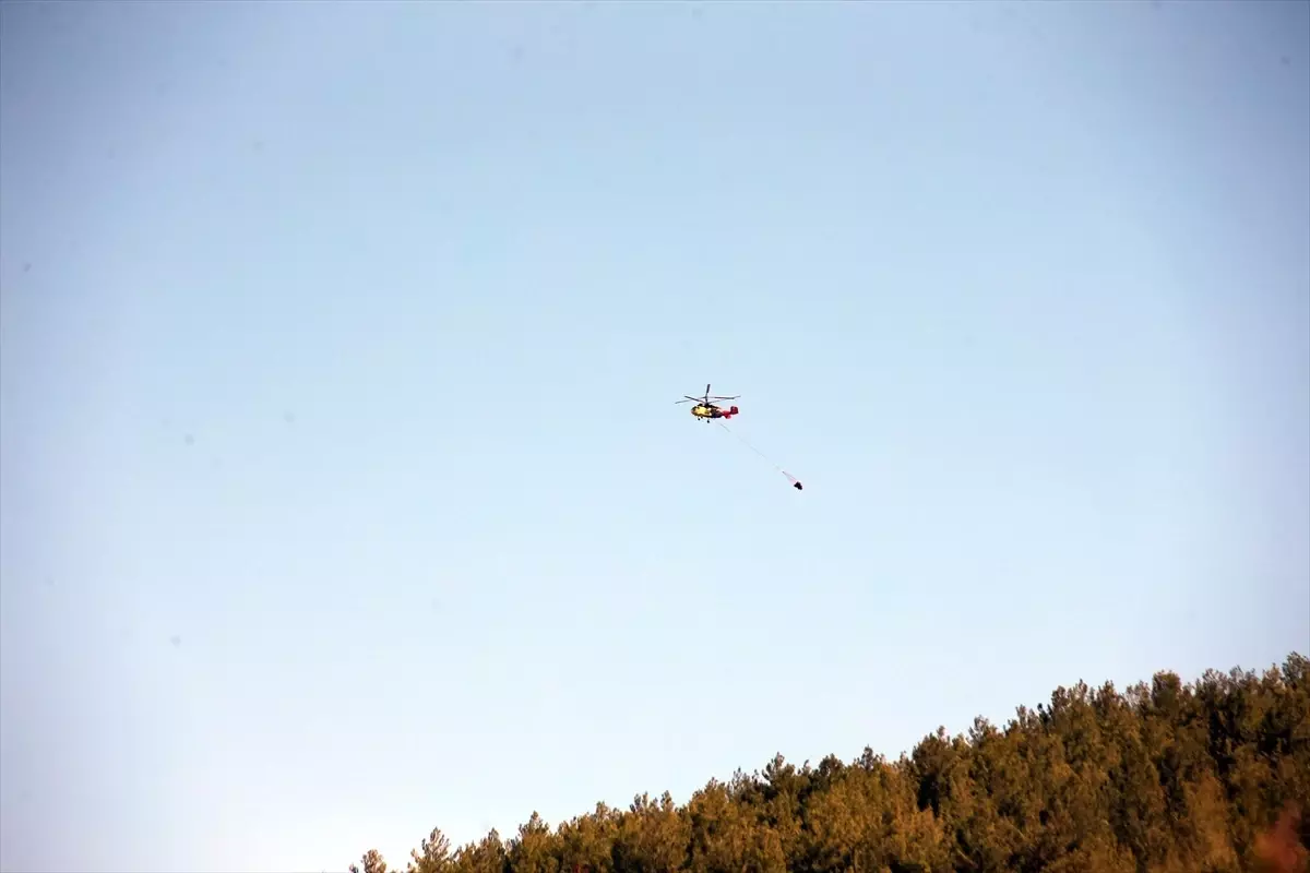cinede orman yangini kontrol altina alindi wwtAWNX9