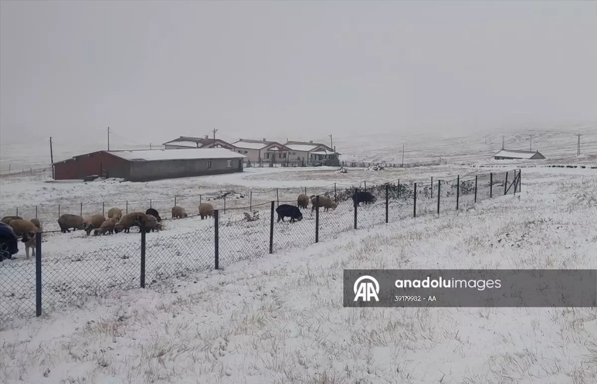 dogu karadenizin yuksek kesimleri beyaza burundu A4ByTaxK