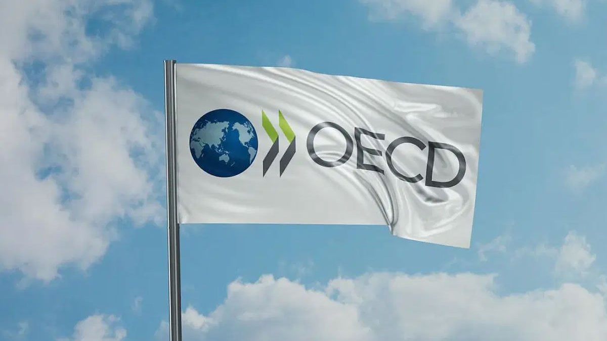 oecd turkiye icin beklentilerini revize etti 9dd3vk59