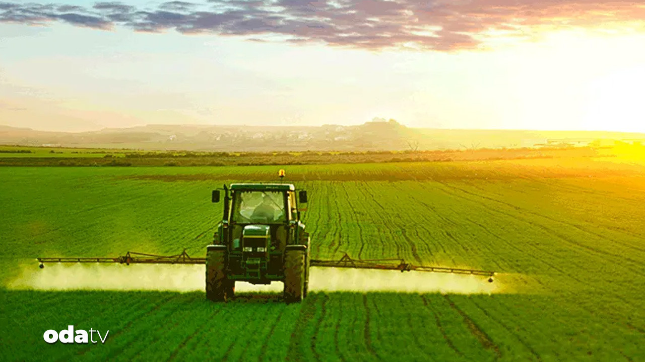 tarim efsanesi de konkordato ilan etti aQBN1rRY